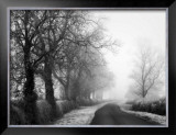 Buy Misty Tree, Lined Road at AllPosters.com
