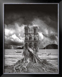 Buy Stumped at AllPosters.com
