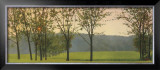 Buy Hazy, Woodstock at AllPosters.com