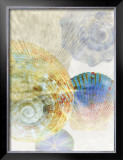 Shell Suite III
