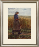 Summer Harvest Framed Art Print