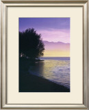 Idyllic Lake IV