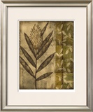 Plant Exotica II
