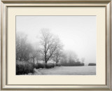 Buy Misty Tree, Lined Field at AllPosters.com