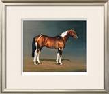 Buy Stanhopes Diddicoy at AllPosters.com
