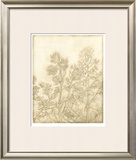 Ivory Field I