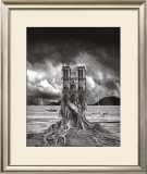 Buy Stumped at AllPosters.com