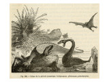 An Ichthyosaurus with Plesiosaur and Pterodactyls