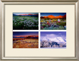 Buy Four Seasons at AllPosters.com