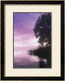 Idyllic Lake III