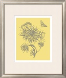 Nature's Optimism II