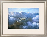 Buy Flight of Freedom at AllPosters.com