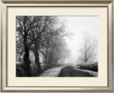 Buy Misty Tree, Lined Road at AllPosters.com
