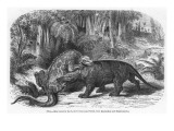 An Iguanodon and a Megalosaurus of the Cretacean Era