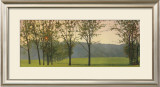 Buy Hazy, Woodstock at AllPosters.com