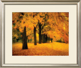 Buy Gold of Autumn East at AllPosters.com