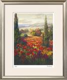 Fields of Italia II