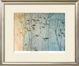Buy Day Spring at AllPosters.com