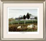 Amish Hills