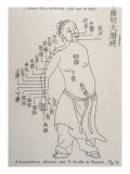 Buy Acupuncture the Meridian of the Large Intestine at AllPosters.com