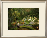 Buy Riziere, Bali at AllPosters.com