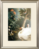 Buy Cygnes at AllPosters.com