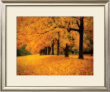 Buy Gold of Autumn West at AllPosters.com