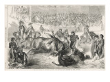 At Bayonne, Napoleon Iii Is Among the Spectators of a Particularly Messy Bullfight