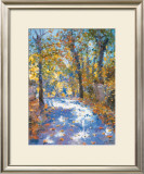 Lumiere d'automne