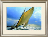 Buy Tuiga at AllPosters.com