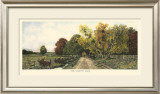 The Country Road