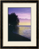 Idyllic Lake IV