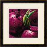 Buy Onions at AllPosters.com