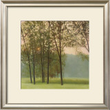 Buy Haze at AllPosters.com