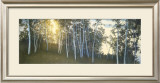 Buy Hillside Birches at AllPosters.com