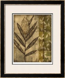 Plant Exotica II