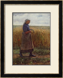 Buy Summer Harvest at AllPosters.com