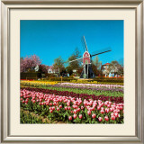 Buy Lisse, Holland at AllPosters.com