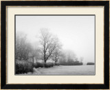 Buy Misty Tree, Lined Field at AllPosters.com