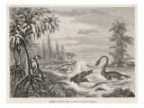 Extinct Plesiosaur