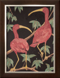 Buy Scarlet Ibis I at AllPosters.com