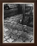 Buy Dans la Cours, 255 Avenue Alesia, c.1947 at AllPosters.com