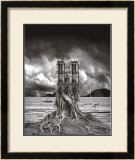 Buy Stumped at AllPosters.com