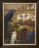 Select Committee