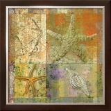 Buy Starfish Collage at AllPosters.com