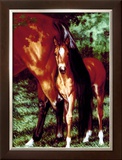 Buy Tail End at AllPosters.com