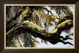 Buy Leopard Sentry at AllPosters.com
