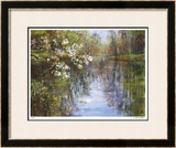 Buy Spring Reflections I at AllPosters.com