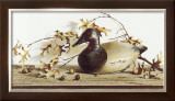 Buy Chesapeake Bay Canvasback at AllPosters.com