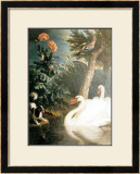 Buy Cygnes at AllPosters.com
